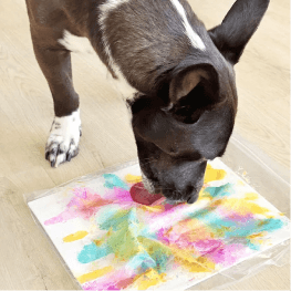 Pawcasso Art Kit